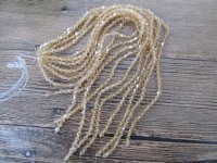10Strand x 61Pcs Champagne Coffee Color Faceted Bicone Crystal 10Strand x 61Pcs Champagne Coffee Color Faceted Bicone Crystal