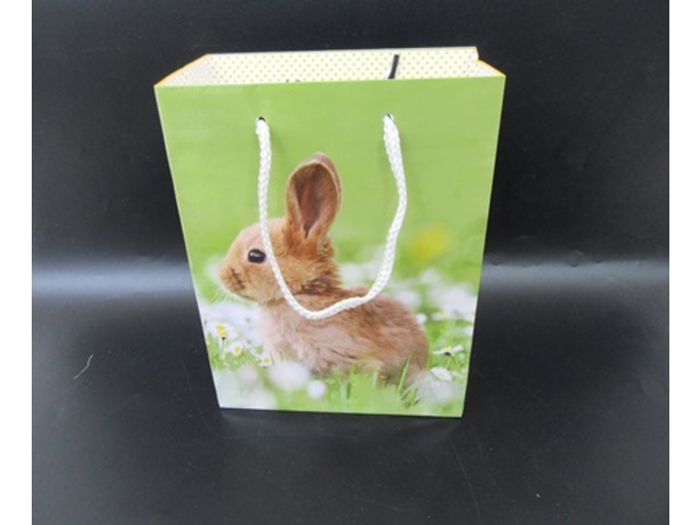 10Pcs Green Rabbit Paper Shopping Bags Gift Bags 22.5x17x9cm 10Pcs Green Rabbit Paper Shopping Bags Gift Bags 22.5x17x9cm