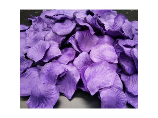 960X Rose Petals Wedding Party Decoration - Purple - Click Image to Close