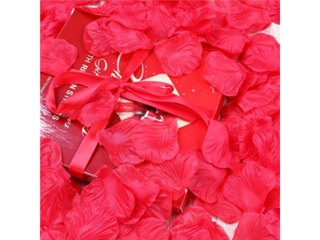 960X Rose Petals Wedding Party Decoration - Fuschia