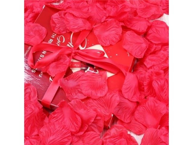 960X Rose Petals Wedding Party Decoration - Fuschia - Click Image to Close