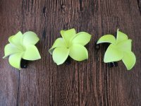 24Pcs Light Green Frangipani Hair Clips 65mm Dia.