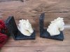 1Pack x 2Pcs 3D Horse Head Craft Home Decoration 1Pack x 2Pcs 3D Horse Head Craft Home Decoration