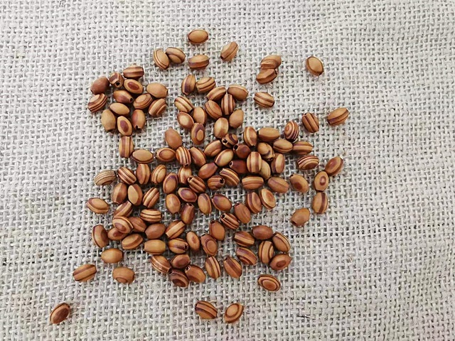 650Pcs HQ Nature Wooden Spacer Loose Beads for Jewelry Making DI