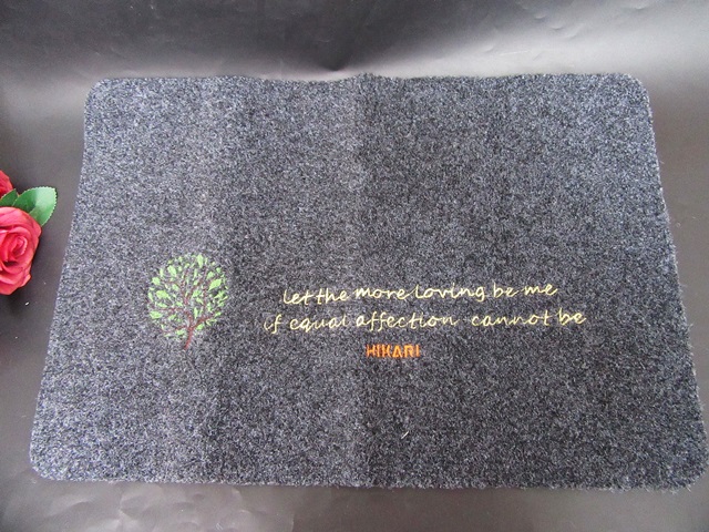 1X Door Mat With PVC Back 58x39cm
