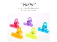 140Pcs Plastic Spring Loaded Clips Pegs Hooks Mixed Color