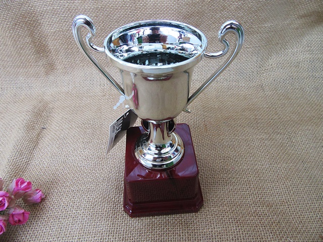 1Pc KIDS Trophy Novelty Achievement Award 16cm High - Click Image to Close