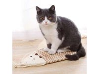 1Pc Pet Cat Scratching Pad Scratcher Board Mat Catnip Bed Pad Pe