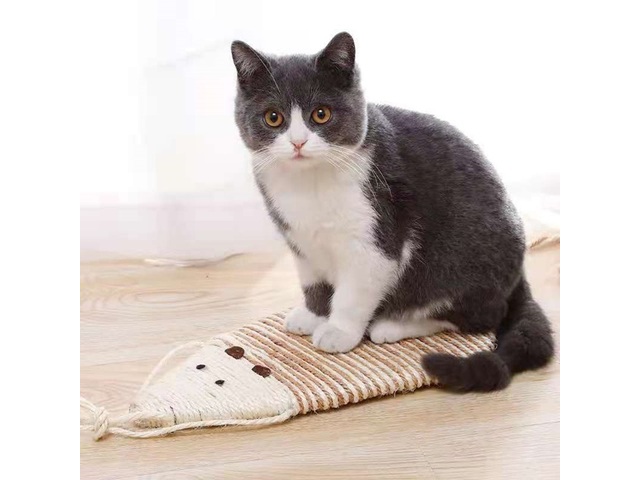 1Pc Pet Cat Scratching Pad Scratcher Board Mat Catnip Bed Pad Pe