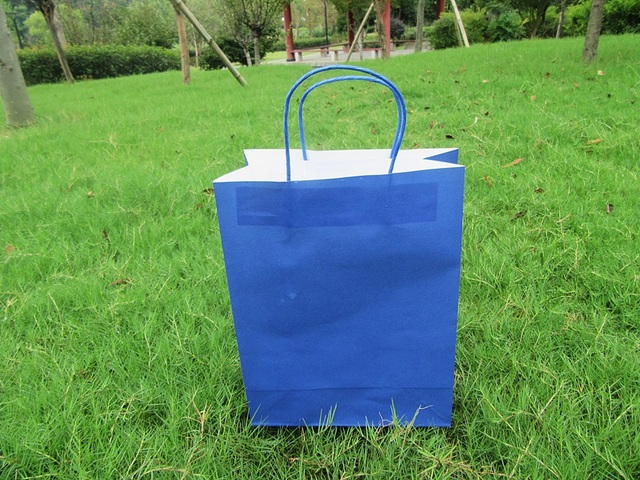 20Pcs Kraft Paper Gift Carry Shopping Bag 31x24x11cm Blue 20Pcs Kraft Paper Gift Carry Shopping Bag 31x24x11cm Blue