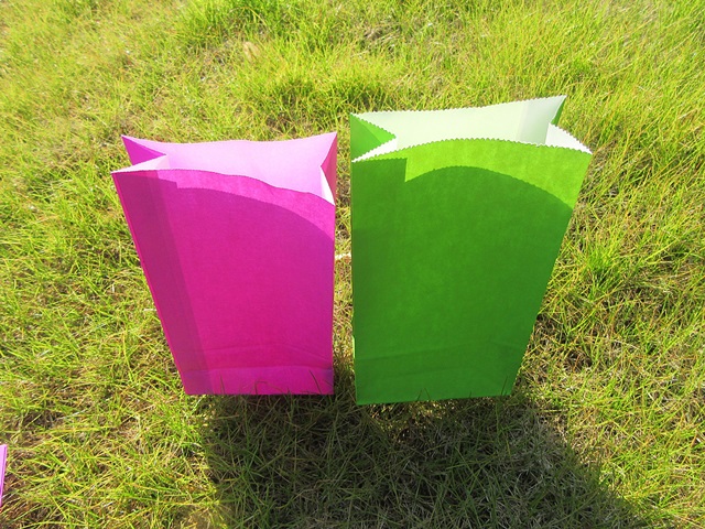 48Pcs Paper Bag Party Lolly Bag Checkout Bag 23x12.8x8cm Mixed C