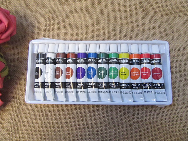 12Pcs x 9.5ml Acrylic Paint Set Professional Craft Paint Art - Click Image to Close