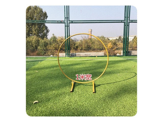 1X Golden Circle Wedding Garden Arch Backdrop Single Tube 1Meter