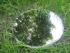 6Pcs HQ Round Mirror Base Wedding Table Centrepiece 35cm 6Pcs HQ Round Mirror Base Wedding Table Centrepiece 35cm