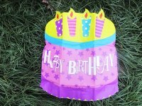 6Pcs Children's Birthday Chair Cover Seat Cover Party Favor