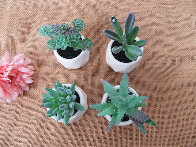 4Pcs Realistic Artificial Succulent Plant in Pot Home Office - Click Image to Close