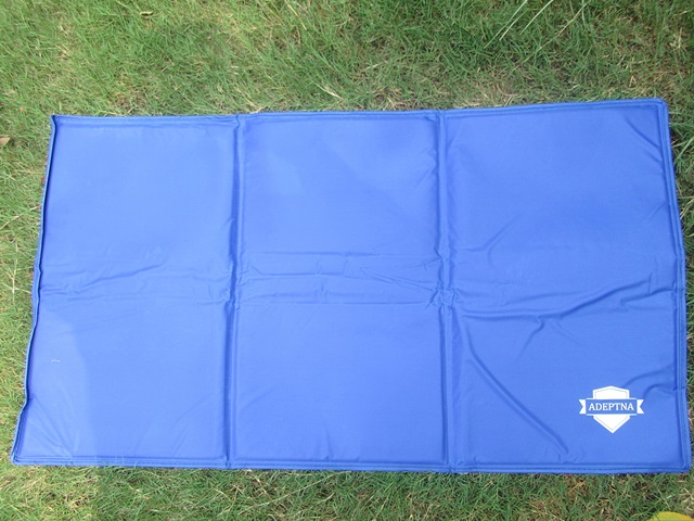 1Pc Dog Sleeping Mat Comfortable Sleeping Mat for Summer - Click Image to Close
