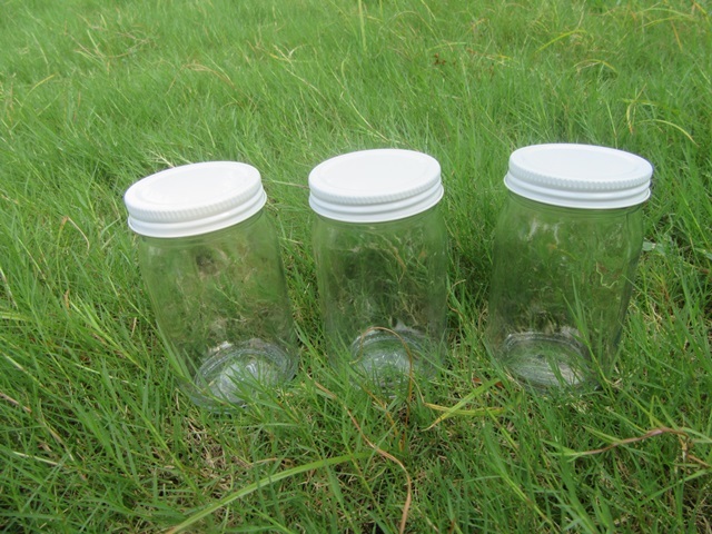 3Pcs Clear Mini Mason Jar w/Lid Spice Condiments Kitchen Organiz 3Pcs Clear Mini Mason Jar w/Lid Spice Condiments Kitchen Organiz
