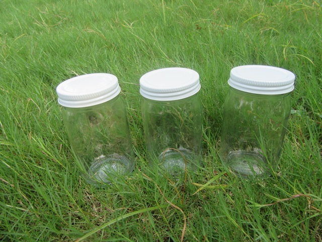 3Pcs Clear Mini Mason Jar w/Lid Spice Condiments Kitchen Organiz - Click Image to Close