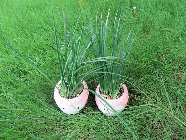4Pcs Artificial Hedgehog Plants in Cute Pot 4Pcs Artificial Hedgehog Plants in Cute Pot