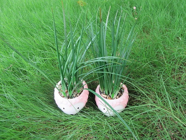 4Pcs Artificial Hedgehog Plants in Cute Pot - Click Image to Close