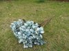 6Pcs Peony Silk Artificial Flower Bouquet Party Home Decor