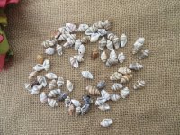 100g Natural Shell Bead Charm Jewelry Craft Assorted Design