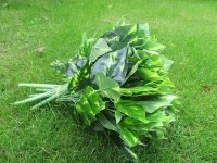 6Pcs Evergreens Plant Flower Ivy Leaf Home Garden Decor