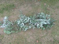 1Pc Hanging Nandina Leaves Garland Arch Home Decoration 1Pc Hanging Nandina Leaves Garland Arch Home Decoration