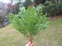2Bunch Artificial Leaf Plant Home Garden Decor 2Bunch Artificial Leaf Plant Home Garden Decor