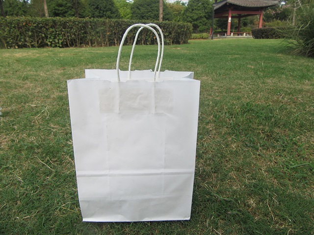 12Pcs White Kraft Paper Bags with Carrying Strap 26x20x10.5cm - Click Image to Close