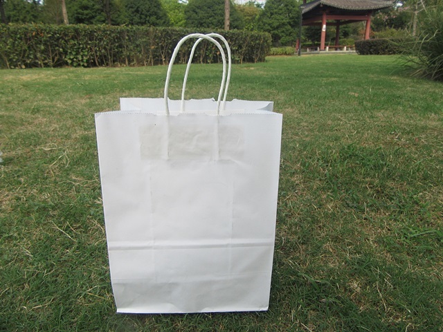 12Pcs White Kraft Paper Bags with Carrying Strap 26x20x10.5cm 12Pcs White Kraft Paper Bags with Carrying Strap 26x20x10.5cm