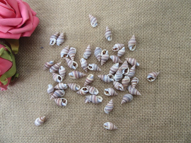 100g (250Pcs) Spiral Natural Shell Bead Charm Jewelry Craft - Click Image to Close