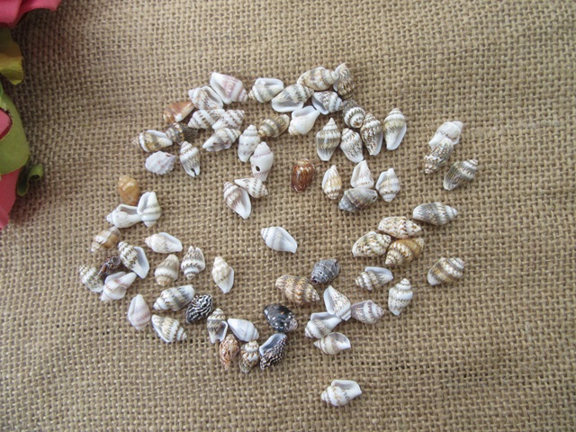 100g Natural Shell Bead Charm Jewelry Craft Assorted Design - Click Image to Close