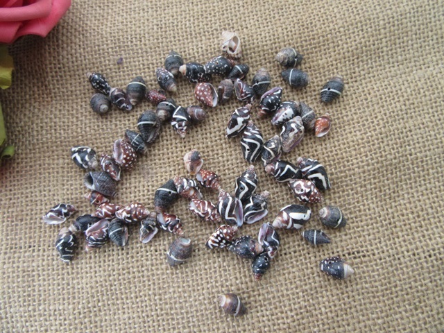 100g Black Natural Shell Bead Charm Jewelry Craft 100g Black Natural Shell Bead Charm Jewelry Craft