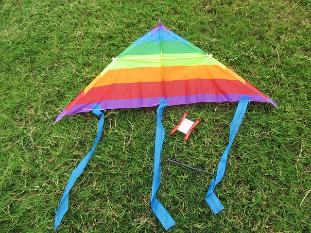 10Pcs Vivid Stunt Triangle Kite Lines Reel Outdoor Games 58cm - Click Image to Close