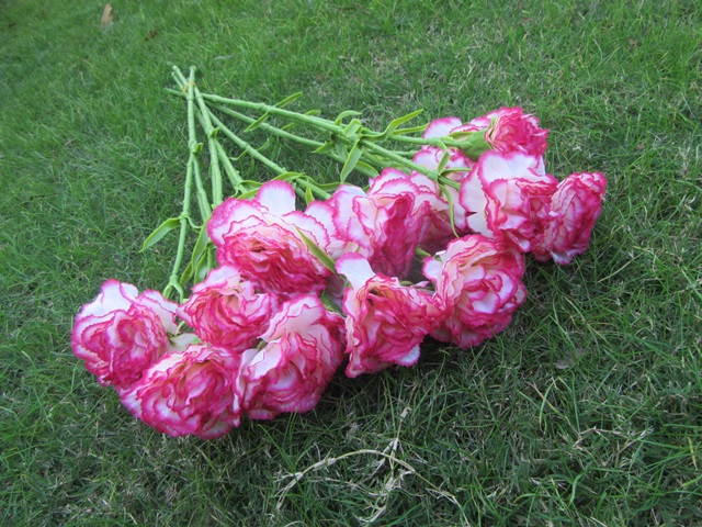 6Pcs Carnation Artificial Flower Home Decoration - Hot Pink - Click Image to Close