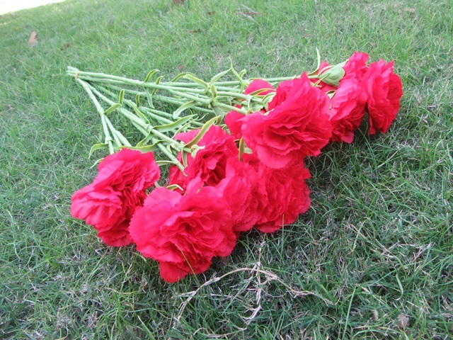 6Pcs Carnation Artificial Flower Home Decoration - Red - Click Image to Close