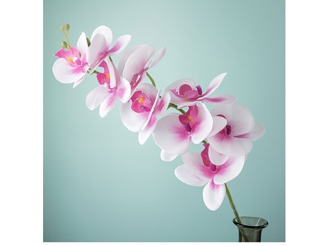 2Pcs White Artificial Moth Orchids Flower Arrangement Home Decor 2Pcs White Artificial Moth Orchids Flower Arrangement Home Decor