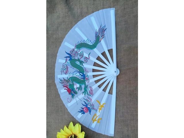 1X Chinese Dragon Martial Kung Fu Tai Chi Dance Fan White