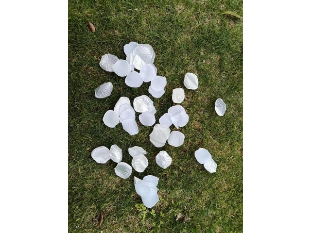 6Packs x 170pcs Rose Petals Wedding Party Decoration - White