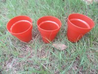 20Pcs Nursery Mini Planter Flower Succulent Pots Garden Home 20Pcs Nursery Mini Planter Flower Succulent Pots Garden Home