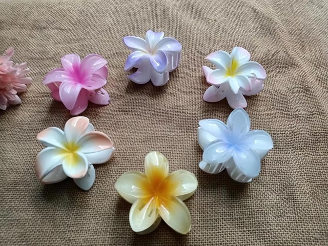 2x6Pc Frangipani Hair Claw Clamp Clip Barette Hair Accessories 2x6Pc Frangipani Hair Claw Clamp Clip Barette Hair Accessories