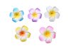 30 New Fabulous Foam Frangipani Flower 8x3.5cm Mixed 30 New Fabulous Foam Frangipani Flower 8x3.5cm Mixed