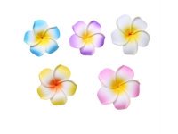 30 New Fabulous Foam Frangipani Flower 8x3.5cm Mixed 30 New Fabulous Foam Frangipani Flower 8x3.5cm Mixed