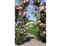 1X Golden Heavy Duty Large Square Wedding Arch Backdrop 1.2x2m 1X Golden Heavy Duty Large Square Wedding Arch Backdrop 1.2x2m