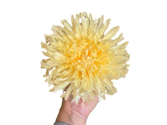 12Pcs Artificial Yellow Chrysanthemum Flower Head Buds Floral 12Pcs Artificial Yellow Chrysanthemum Flower Head Buds Floral