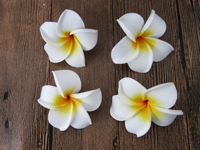 (image for) 50 New White Fabulous Foam Frangipani Flower 5x2cm