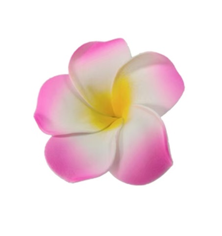 (image for) 50 New Pink Fabulous Foam Frangipani Flower 5x2cm