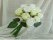Rose Bouquets